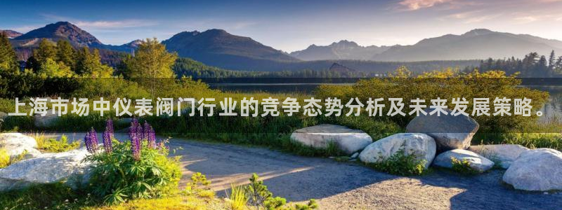 新宝gg指定平台