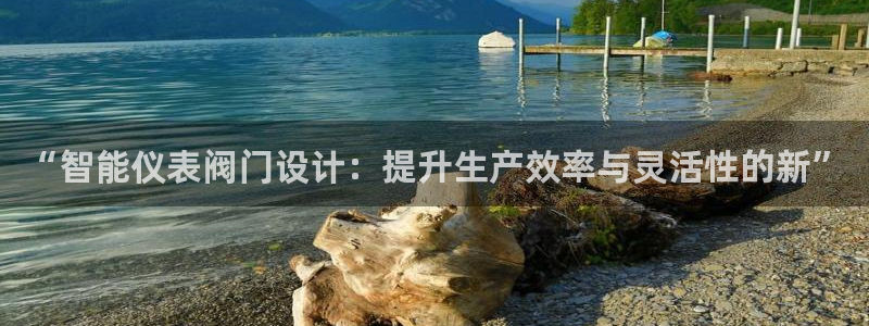 新宝gg网站