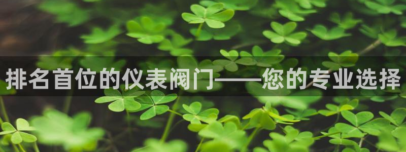 百度新宝gg