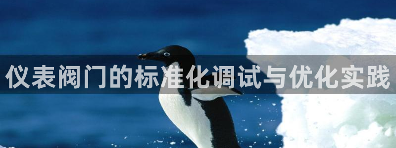 新宝_GG奇迹