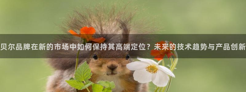 新宝gg注销