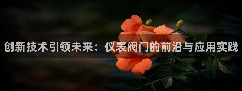 新宝gg dengludizhi
