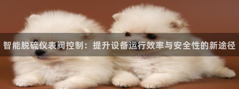 新宝gg软件