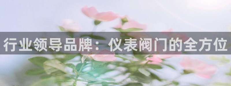 新宝gg4