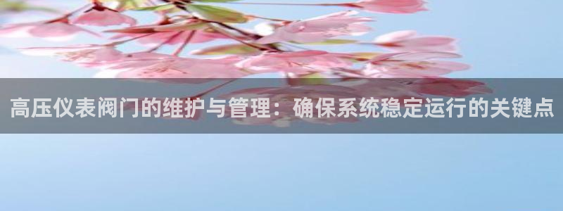 新宝gg龙虎规则