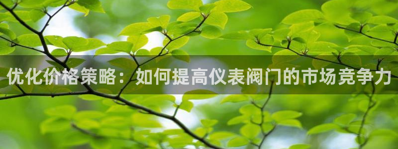 新宝Gg测速地址