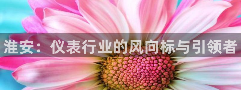 新宝GG苹果版