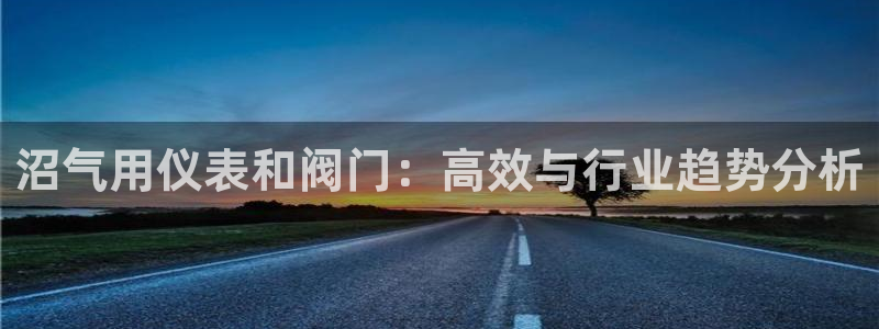 新宝GG创业奇迹