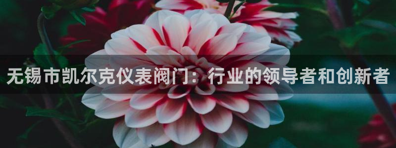 新宝gg违法