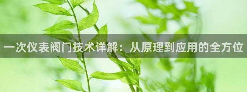 新宝gg 内部 8