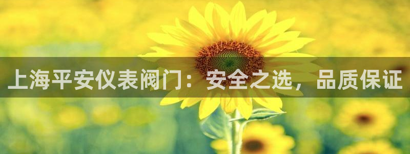 新宝太阳 gg
