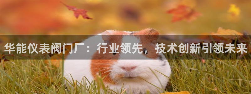 新宝gg会员登录