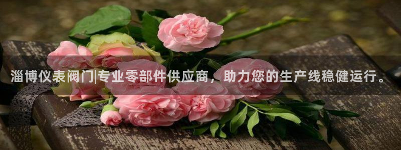 新宝.gg
