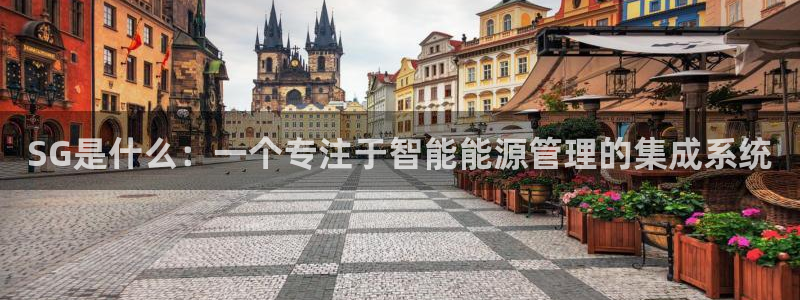 新宝gg什么