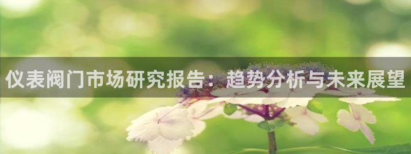 新宝一GG