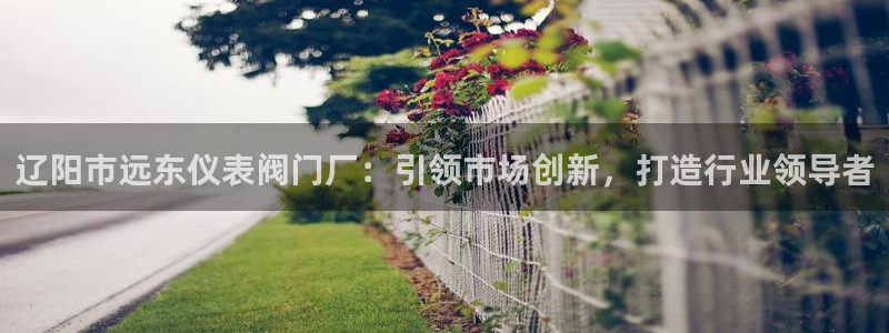 新宝gg挣钱