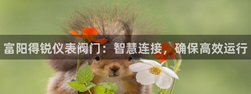 新宝 gg 下载