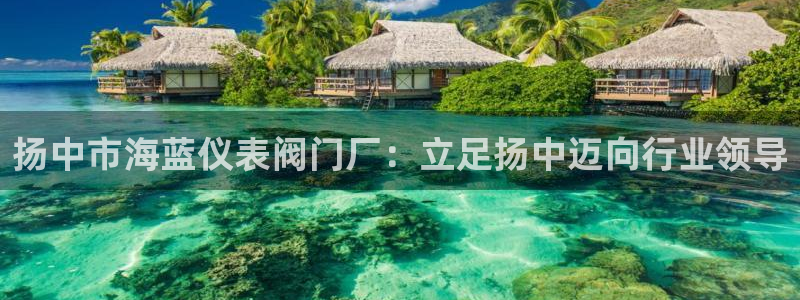 新宝GG类别78778