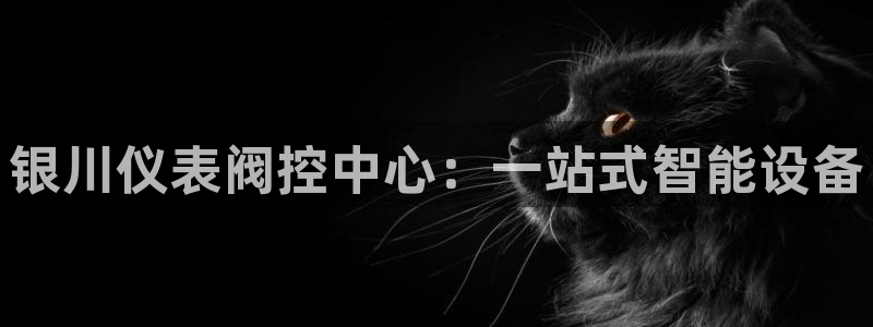 新宝gg公司