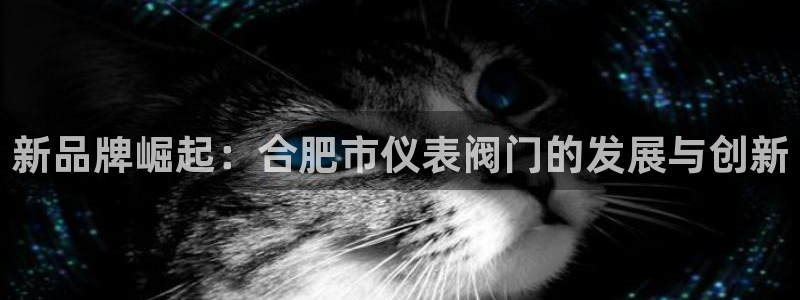 新宝gg平台开户