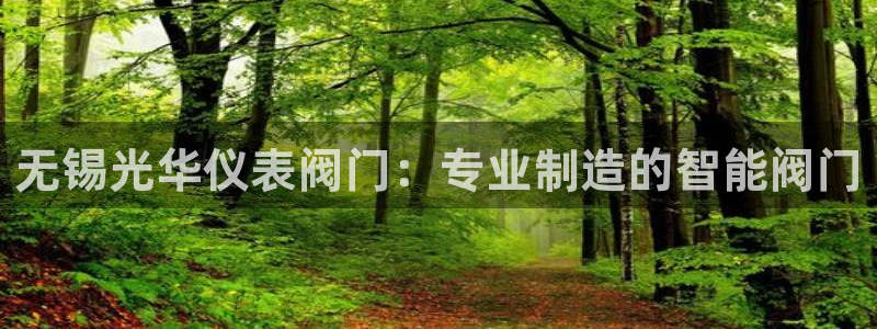新宝 gg最新
