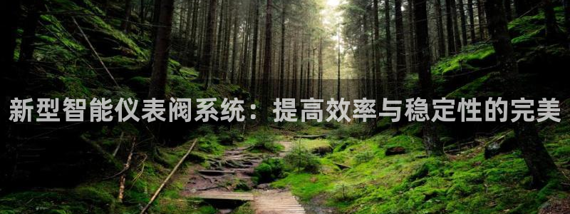 新宝gg技术