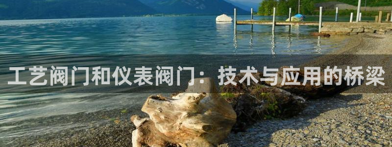 新宝gg登陆