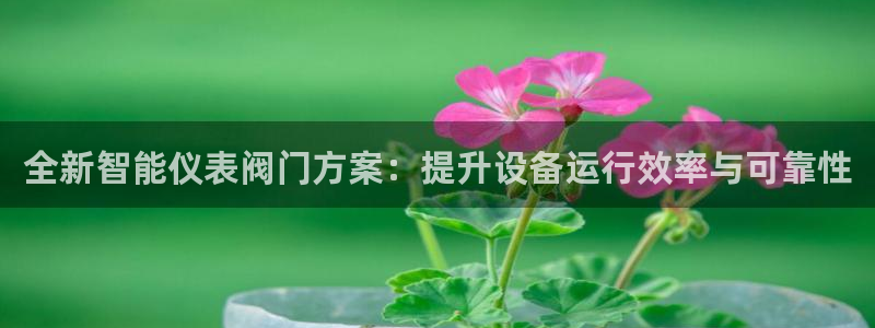 新宝GG网页