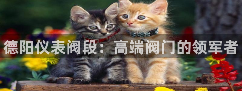 新宝gg代
