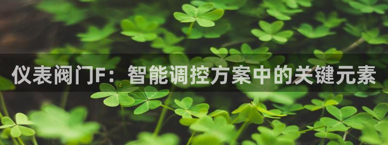 新宝gg正规