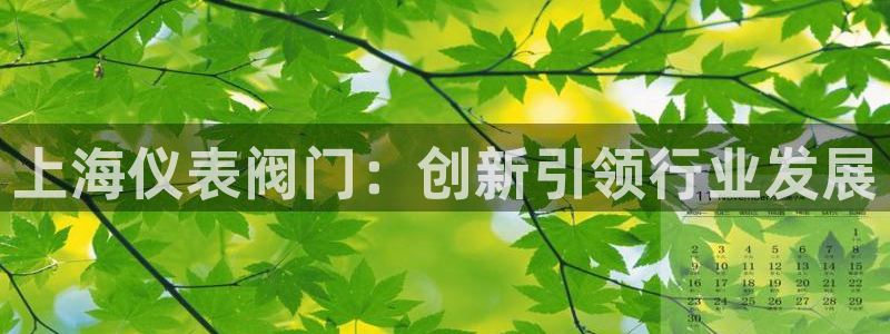 新宝gg评论