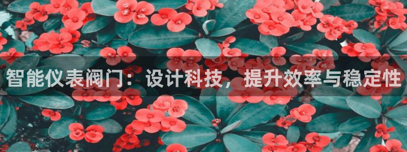 新宝gg最新章节