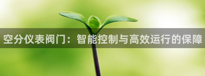 新宝gg怎样代理
