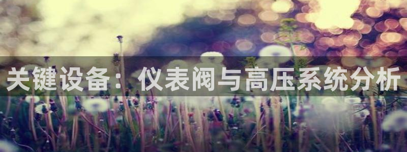新宝gg怎样