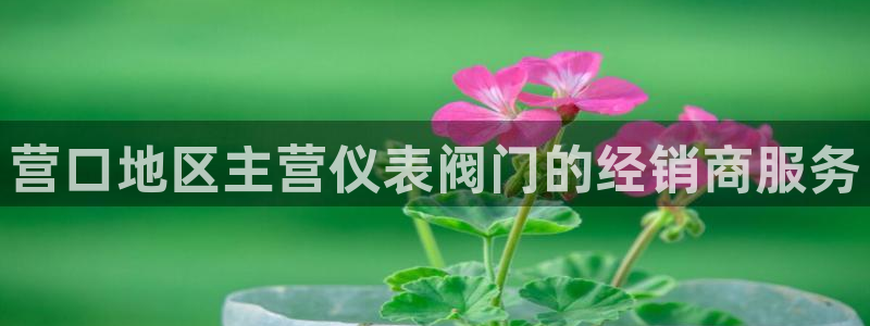 新宝gg注销