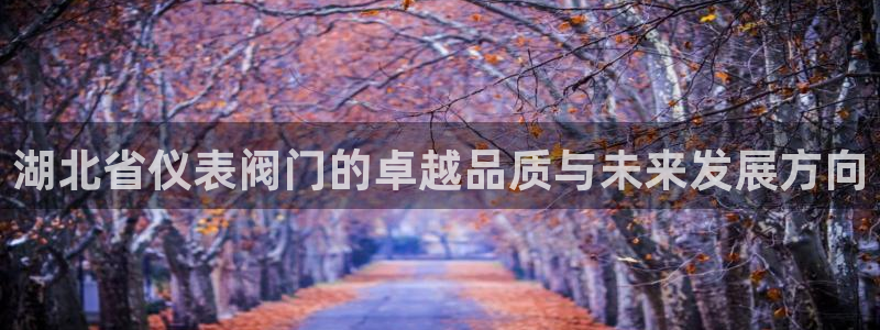 新宝gg违法