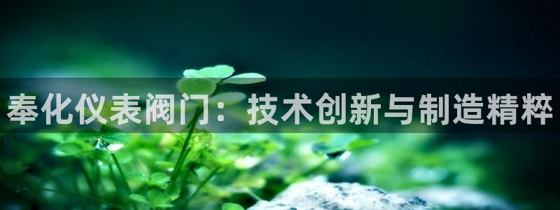 新宝gg奖金