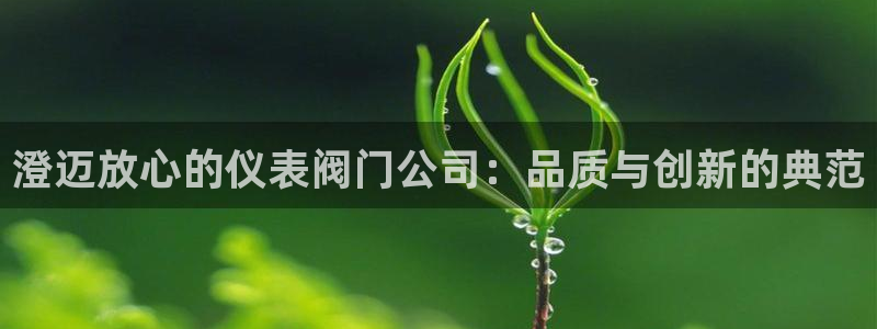 新宝gg官方下载