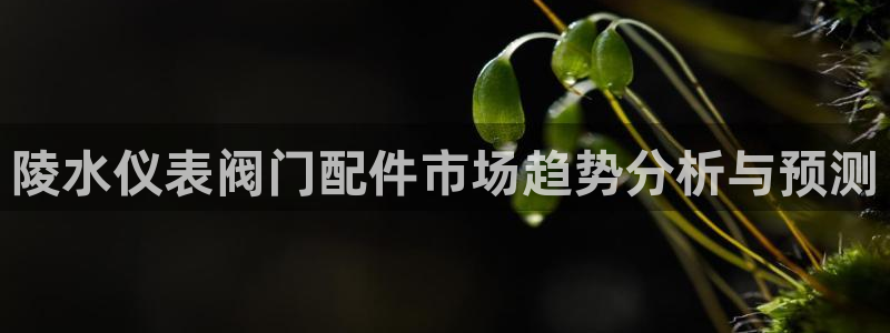 新宝gg主管weibo