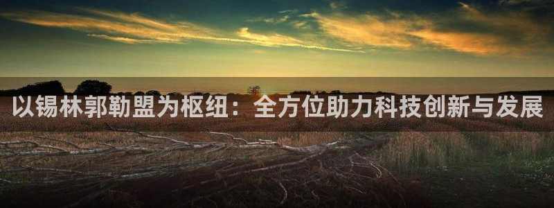 新宝gg娱乐平台