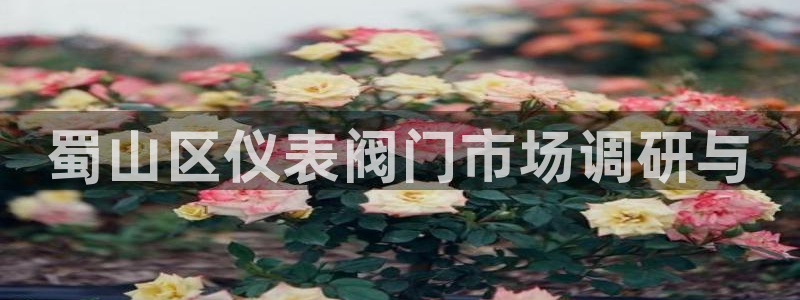 新宝gg_