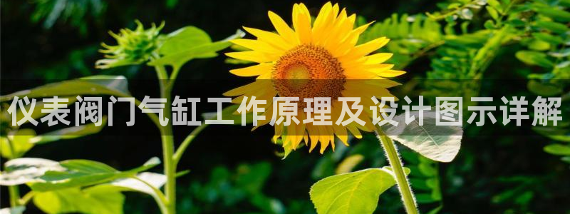 新宝gg开户流程