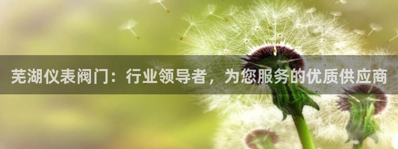 新宝Gg测速地址