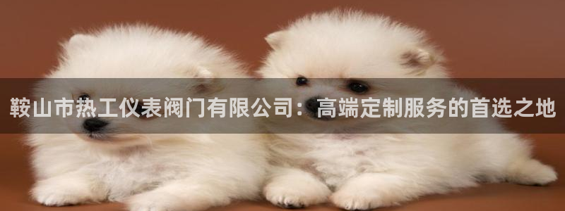 新宝gg奖金