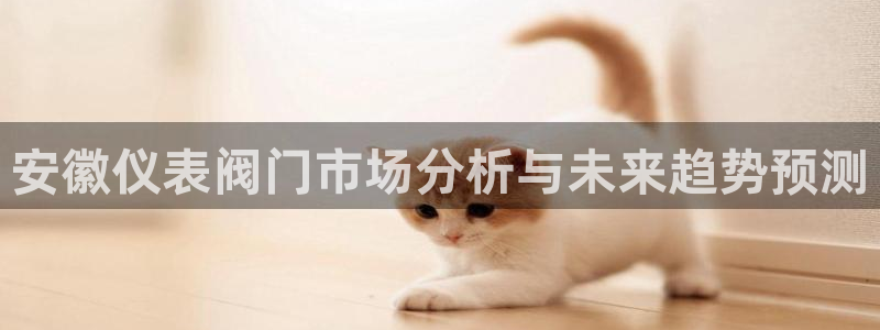 新宝gg玩法