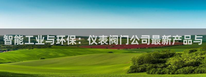 新宝gg代理条件