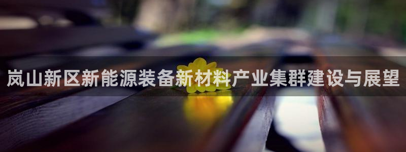 关于新宝GG