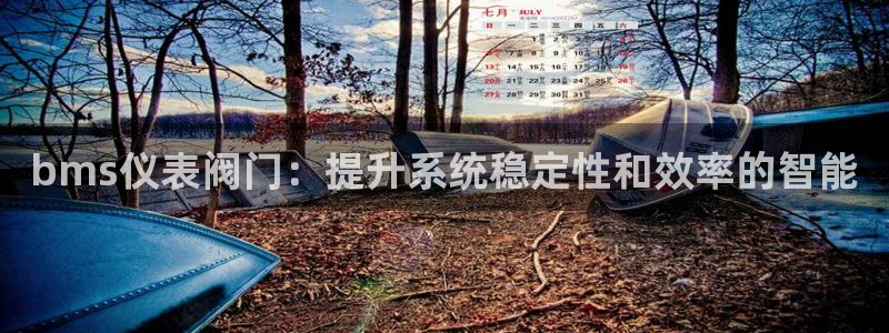 新宝gg专线