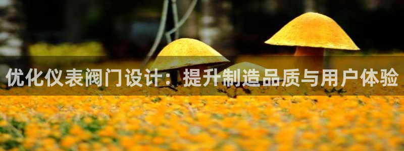 新宝gg注册 776317