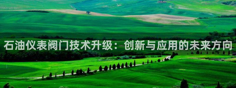 新宝 gg 下载